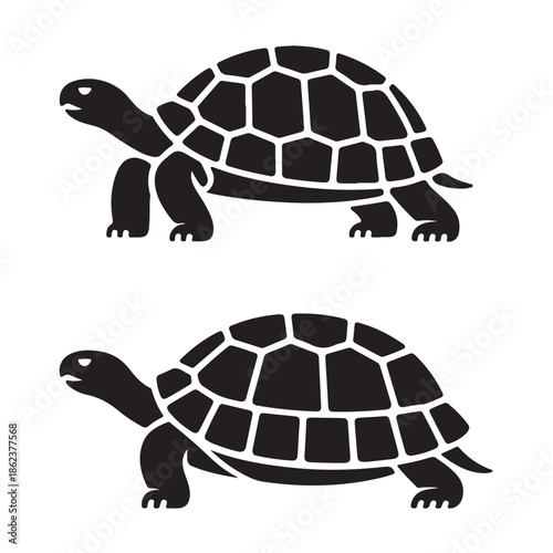 turtle black vector 