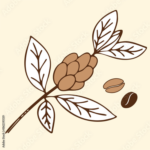 Minimal flat illustration of a coffee plant branch with leaves and coffee beans in a warm neutral color palette
