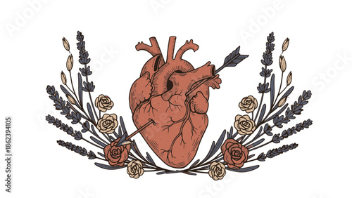 Romantic anatomical heart pierced by arrow, framed by elegant lavender and roses, a heartfelt Valentine's illustration