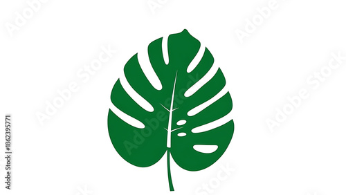 Tropical leaf isolated on white background