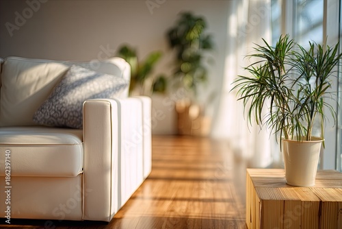 Bright living room with white couch, plants, wooden floors, and sunlight streaming in