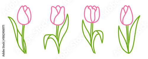 Set of pink tulip flowers drawn in hand drawn outline style. Delicate floral elements with thin lines and light doodle character, creating gentle spring botanical look.