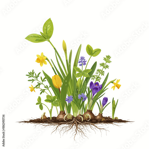 Spring Blossom Nature Poster