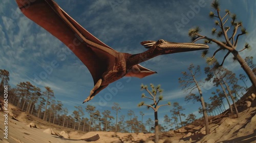 4k video of a flying pterodactyl.