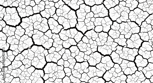 Dry cracked earth texture with irregular black lines and white background pattern.