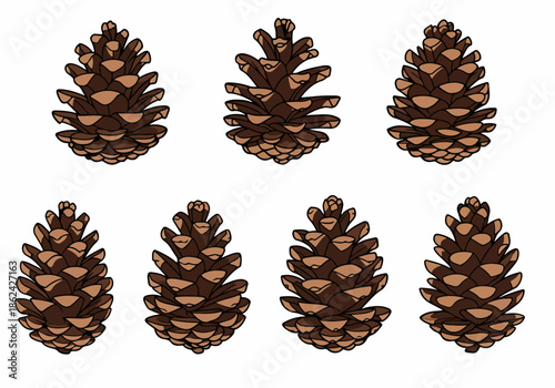 Collection of eight stylized brown pine cones on a white background, perfect for autumn and winter design elements and natural decorations.