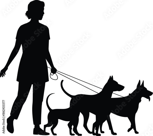 Woman walking dogs silhouette, female dog walker with leashes, pet care routine, animal companionship, outdoor lifestyle activity, isolated white background