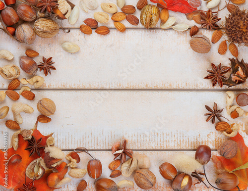 ナッツのフレーム