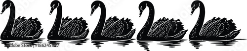 Five black swans swimming in a line on water