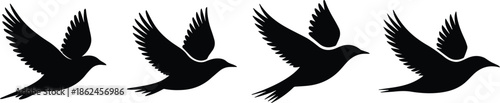 Set of Minimalist black bird flying with spread wings silhouette vector icon