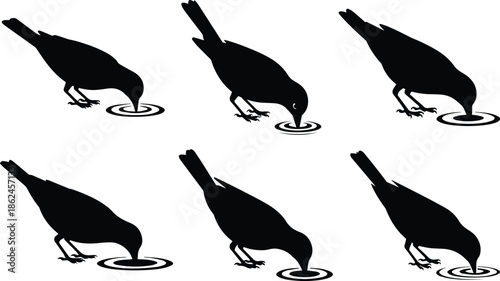 Set of Minimalist black bird drinking water with head tilted down silhouette vector icon
