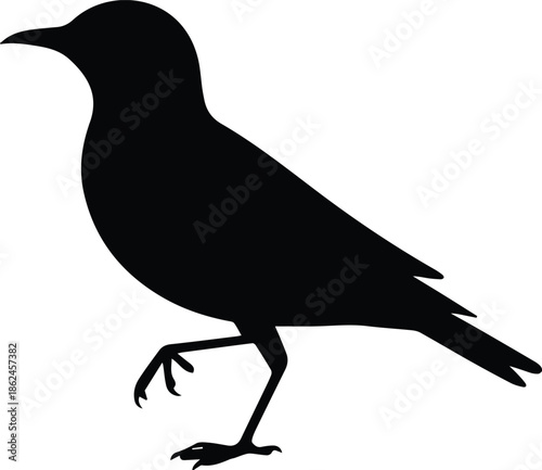 Minimalist black bird standing on one leg balanced silhouette vector icon