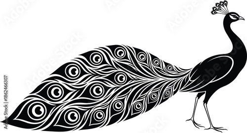 Elegant peacock silhouette illustration with ornate feather pattern, decorative black and white bird vector art for luxury design projects