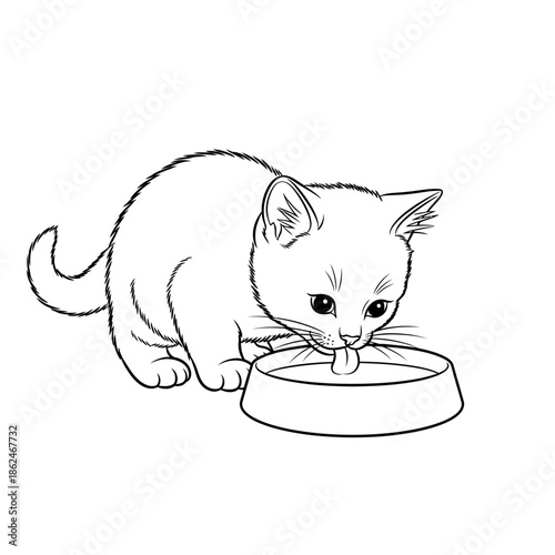 Cute Kitten Drinking Water from Bowl Line Art Illustration.