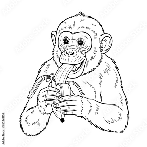 Chimpanzee eating banana with tongue out black and white drawing.