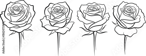 Line art rose vector illustration set with four hand drawn black and white blooming flowers for elegant wedding design elements