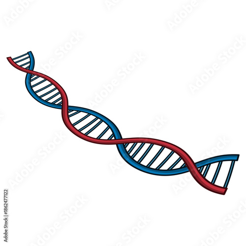 A cartoon illustration of a double helix DNA strand in blue and red color