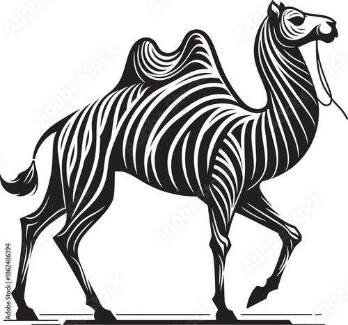 A cute cartoon zebra vector illustration featuring a wild striped mammal with black and white patterns isolated on a white background for wildlife and safari nature designs