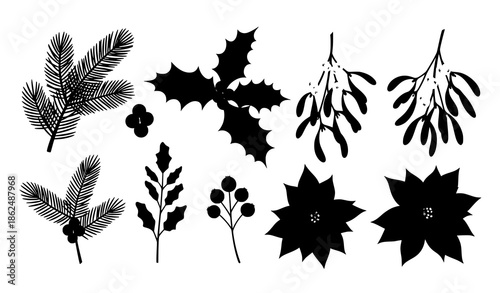 Christmas botanical winter plant vector set with pine holly mistletoe poinsettia and berries
