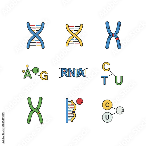 A vibrant set of flat design icons depicting fundamental concepts in molecular biology, such as DNA double helices, RNA structures, chromosomes, and nucleotide bases.