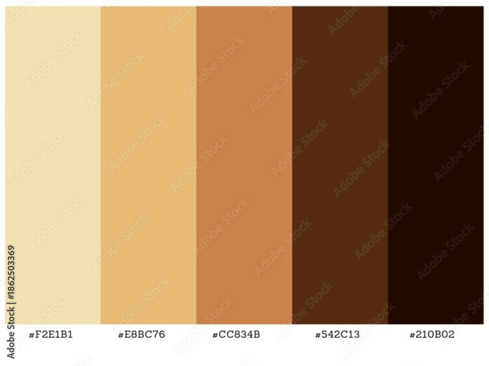 Fototapeta premium Contemporary gradient palette suitable for interior styling fashion web design