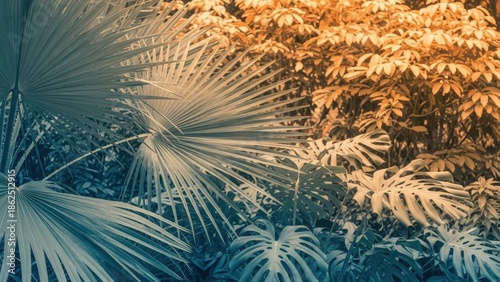 Tropical Palm Trees in Sunlight Forest.