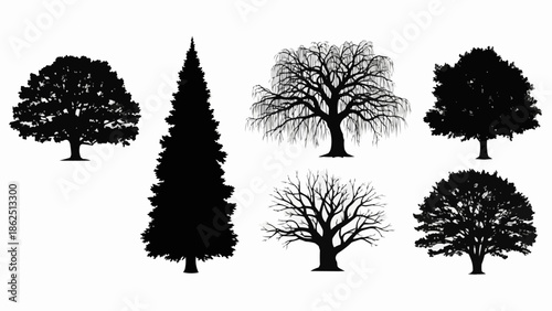 Collection of Silhouette Trees Isolated on White Background.