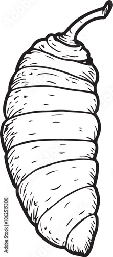 Silk cocoon Textile Industry Hand-drawn Sketch Drawing Vector Illustration, Line Linear Symbol Engraving Coloring Book, Black and White Isolated