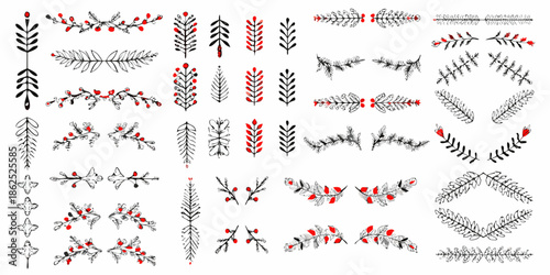Collection of decorative pine branches and berry sprigs in black and red