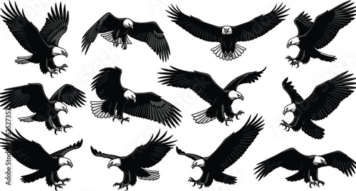 Bald eagle vector illustration set, flying bird of prey mascot, American symbol collection, wild predator animal icon, isolated graphic design.