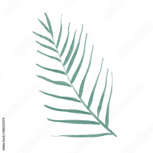 Watercolor Tropical Palm Leaf Illustration 2