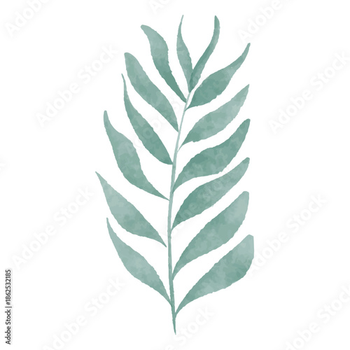 Watercolor Tropical Leaf Frond Illustration