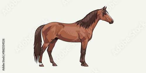 Elegant Horse Illustration with Clean Modern Style