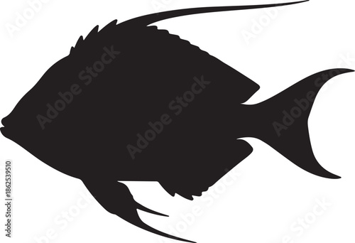 silhouette of a fish
