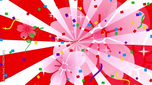 紅白の回転集中線と桜が舞うおめでたい和風の背景素材