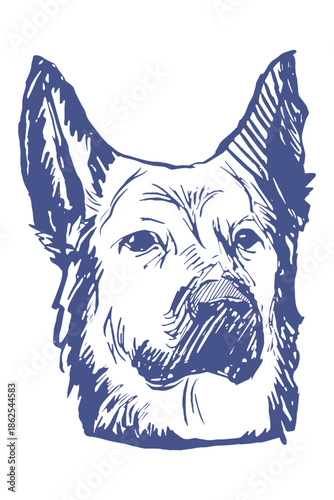 Head of a German shepherd dog in 3/4th view vector illustration 