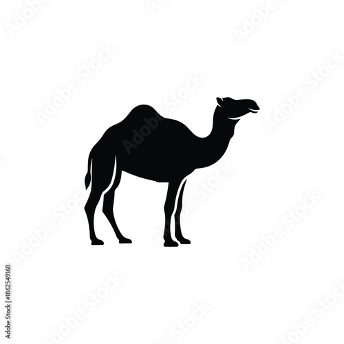 Silhouette of a camel Vector