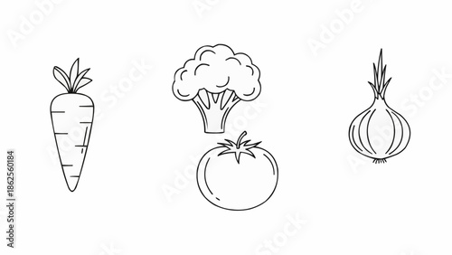 Simple Line Drawing of Fresh Vegetables Carrot Broccoli Tomato Onion.