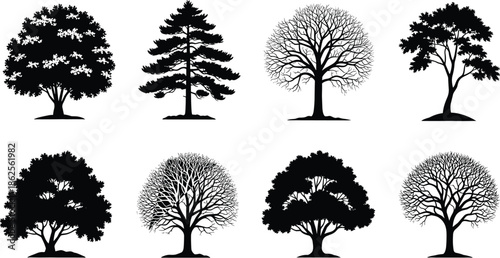 Tree silhouettes set, diverse forest nature species collection, oak pine and deciduous garden elements, landscape design icons, environmental greenery vector.