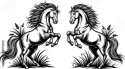 Horse, Stallion, Equine, Rearing, Power, Mane, Animal, Nature, Symmetrical, Strength, Wild, Majestic, Silhouette, Outline, Sketch.