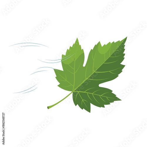 Windy Green Leaf Vector Nature Motion Illustration