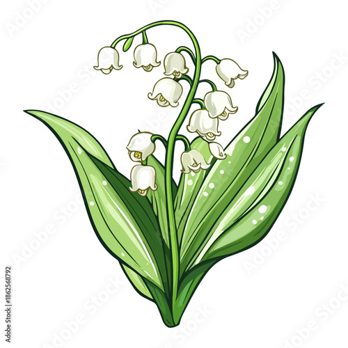 lily, plant, easter, festival, vector, transparent background, nature, white, isolated, floral, botanical, flower, fresh, beauty, unopened