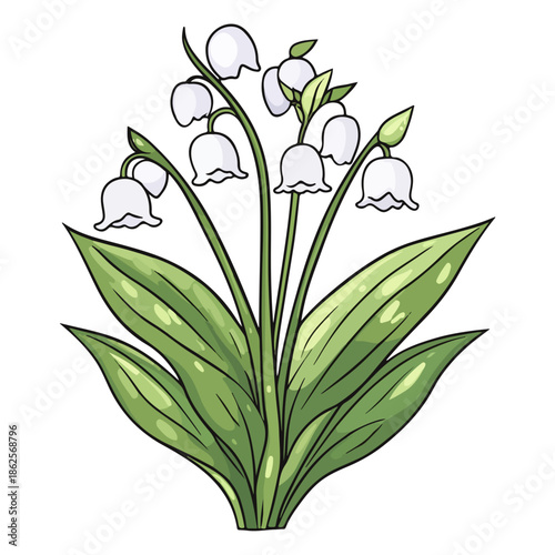 lily, plant, easter, festival, vector, transparent background, nature, white, isolated, floral, botanical, flower, fresh, beauty, unopened