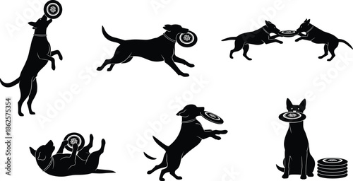 Black dog silhouette illustration, playful canine poses, frisbee interaction, active pet behavior, vector animal art, catching, tugging, leaping, sitting, running