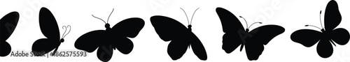 Butterfly silhouettes, insect vector, wing shapes, black icons, species diversity, nature clipart, flying insects, entomology art, outline design, decorative elements