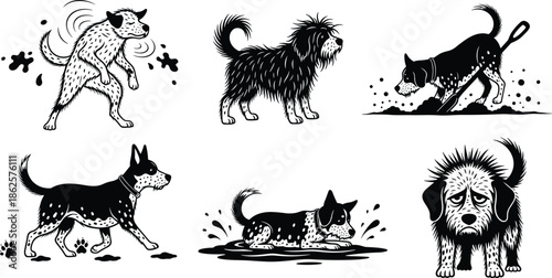 Cartoon dogs, playful pets, wet dog, digging dog, dog with ball, puddle fun, expressive dog, dog emotions, messy dog, dog shaking, shaggy dog, dog splashing, sad dog, muddy dog, dog behavior, cute dog