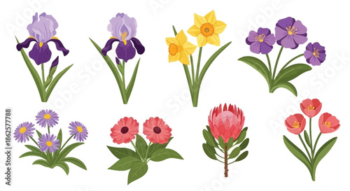 A colorful collection of various illustrated flowers on a white background