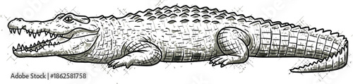 Hand drawn sketch of an alligator with open jaws on white background