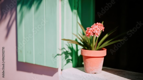 緑の窓の外に置かれた花とポット