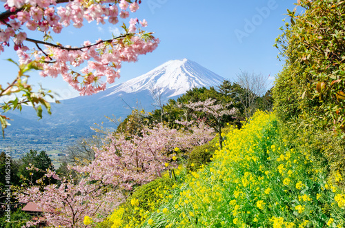 春景（神奈川県松田町）2